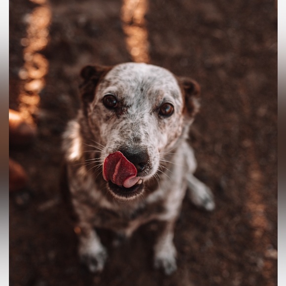 meet the posher / meet your posher / about the page / about the seller - Picture 3 of 8